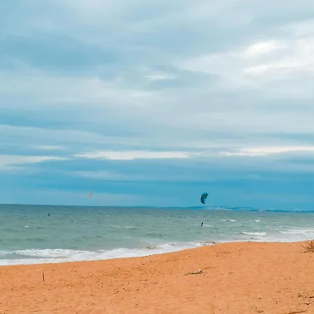 بيت شباب Wax فارو