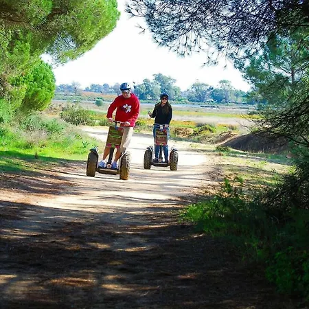 بيت شباب Wax *