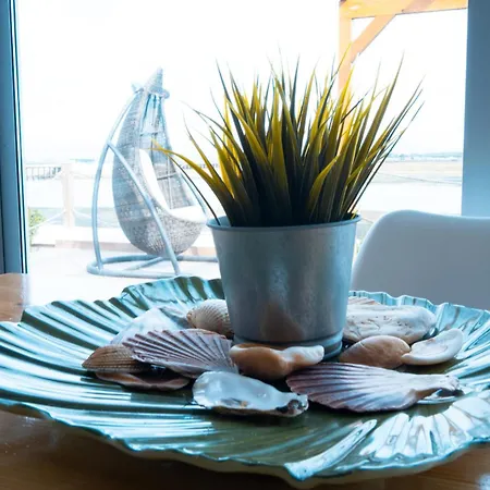 Wax * Distretto di Faro